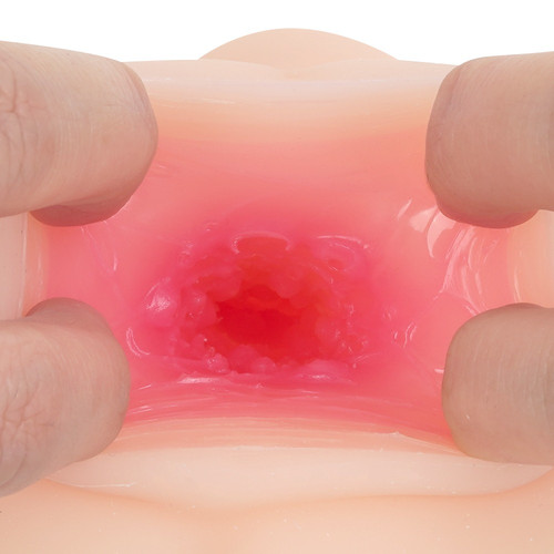 메스로리 프렌즈 사쿠라