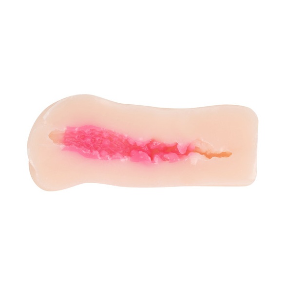 메스로리 프렌즈 사쿠라