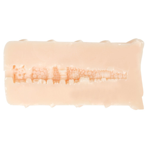 생중 포르치오 지렁이