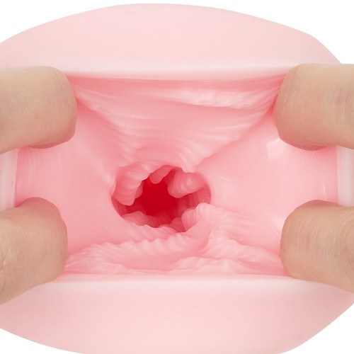 생중 포르치오 지렁이