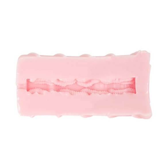 생중 포르치오 지렁이