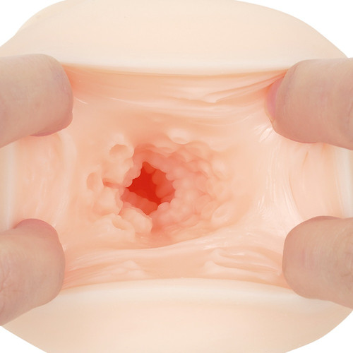 생중 포르치오 문어단지