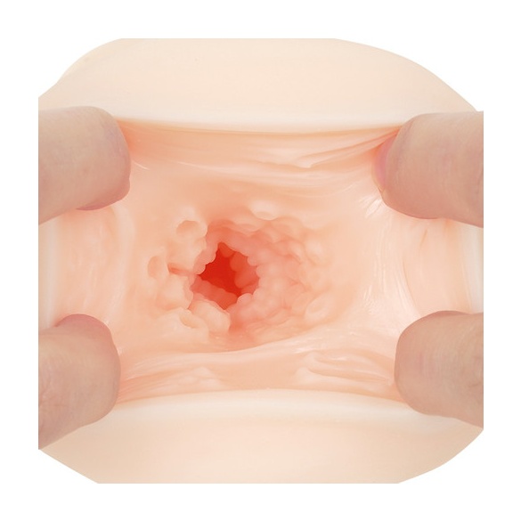 생중 포르치오 문어단지