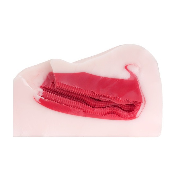 바닥오나식 마운트 프레스 원