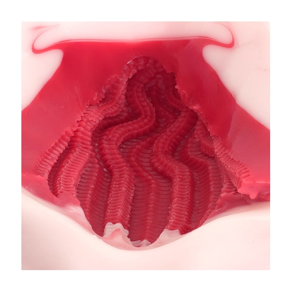 바닥오나식 마운트 프레스 원