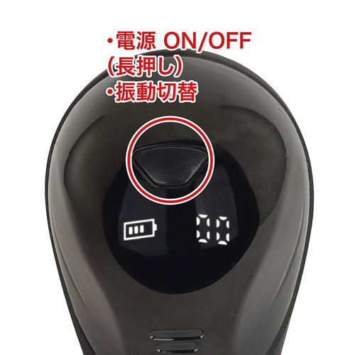 오나라이더 (일본정품)