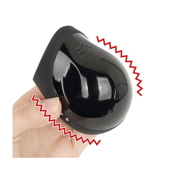 오나라이더 (일본정품)