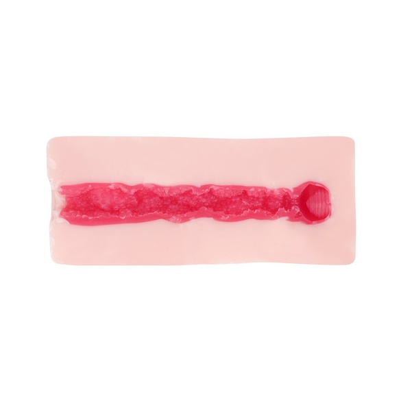 완숙 에로티카 베리