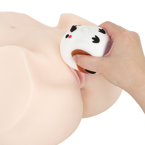 흔들흔들 오목눈이 (일본정품)