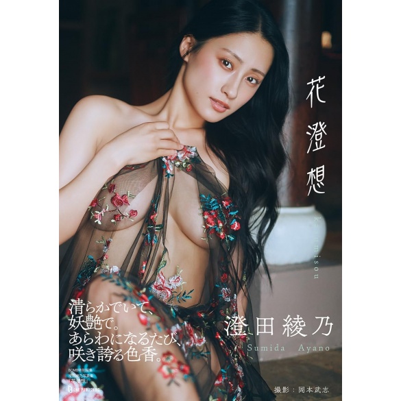 스미다 아야노 사진집 『카스미소우』
