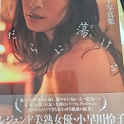 코바야카와 레이코 사진집 - 난잡하게 녹는다