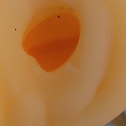 화이트 갸루 엘-원 White Gal L-ONE