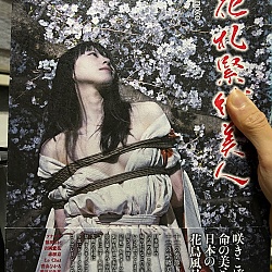 화투긴박미인 (모델: 츠나마요, 아오야마 히카루, 하즈키 마유카, 나나나노, 마사키 나오 등)