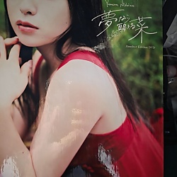 【DVD 포함 한정판】니시노 유메나 첫 사진집 - 꿈이라면 깨졌으면 해, 유메나